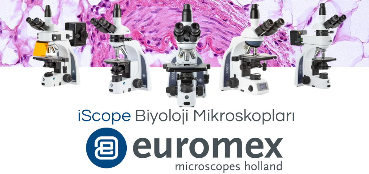 euromex biyoloji mikroskopları